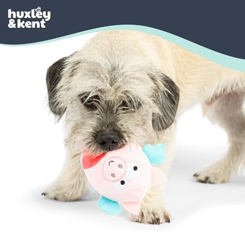 Huxley & Kent Funny Dog Toy w/Squeaker – Power Plush Squeaky Dog Toys for Small Dogs – Durable Small Stuffed Animal for Indoor Play & Fetch - Tiny Tuff Flying Piggasus