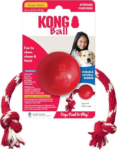 Kong Ball with Rope, Natural Rubber Fetch and Tug Toy, Red, for Small Dogs