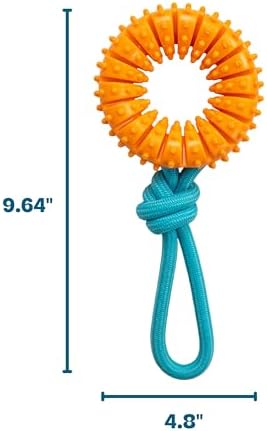 Dental Chew Wheel Durable Dog Toy, Tug & Chew, Mint Scent, 9.6"