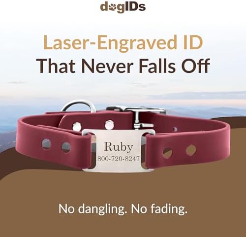 dogIDs Personalized Dog Collar – ScruffTag Custom Waterproof Biothane Dog Collar with Laser-Engraved Name, Durable & Odor-Resistant – USA Made | Wine, 1 in x 22 in (Fits Neck Sizes 20-24 in)