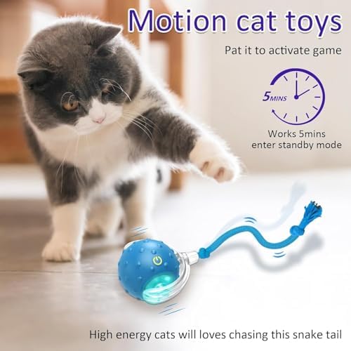 Interactive Cat Toys Ball for Indoor Cats (Blue)