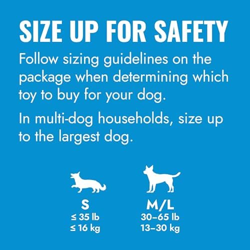 KONG Puppy Ball with Hole, Teething Toy, for Medium/Large Puppies, Pink