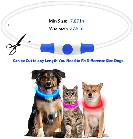 Flashseen LED Dog Collar, USB Rechargeable Glow Lighted up Collar, Blue
