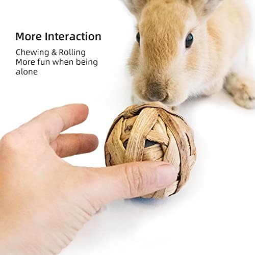 Niteangel Natural Chew Activity Toys: Meets Small Pet Chewing Needs & Mood