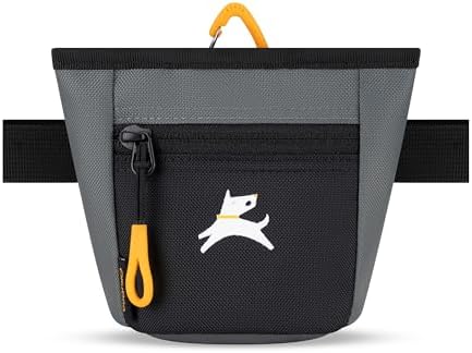 OllyDog, Goodie Treat Bag, Dog Treat Training Pouch | Magnetic Closure | 3 Ways to Wear | Hands-Free Waist Belt | Water-Resistant Recycled Vegan Fabric (Castle Rock)