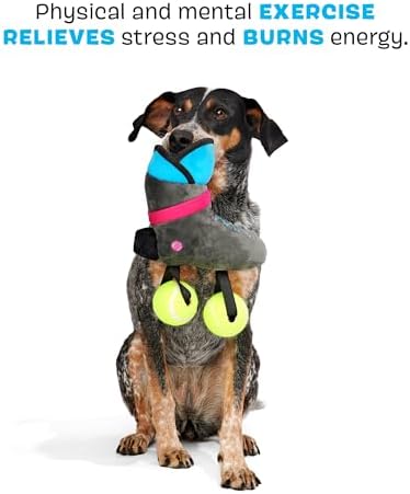 BarkBox Way Rad Rollerblade Dog Toy - for Extra Small to Small Dogs