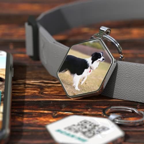Dog Tags Personalized Pet ID Tags - QR Code Customize Dog Cat Tag - Pet Online Profile Display Pet Information