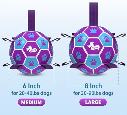 QDAN Dog Toy Soccer Ball, Durable Dog Balls for 30-90 lbs Small Medium Dogs