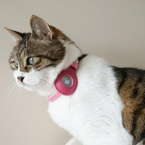 Blueberry Pet Microfiber Leather AirTag Cat Collar with Bell