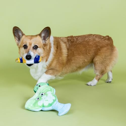 Fringe Studio Drop ME A Lime Hide and Seek Plush Dog Toy, Pet Shop Collection (289257)