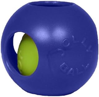 Jolly Pets Teaser Ball Interactive Dog Toy, 10 in XL, Blue