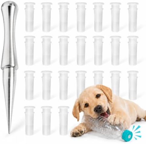 Plastic Bottle Cap Squeakers: Turn Empty Bottles into Squeaky Dog Toys