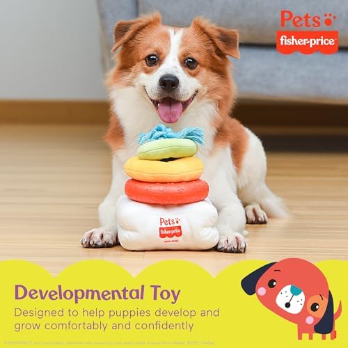 Fisher Price Attack-A-Stack Chase and Toss Dog Toy