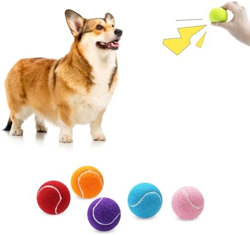 Magicorange Small Tennis Balls, 6 Pack 2 inch Squeaky Tennis Balls for Dog
