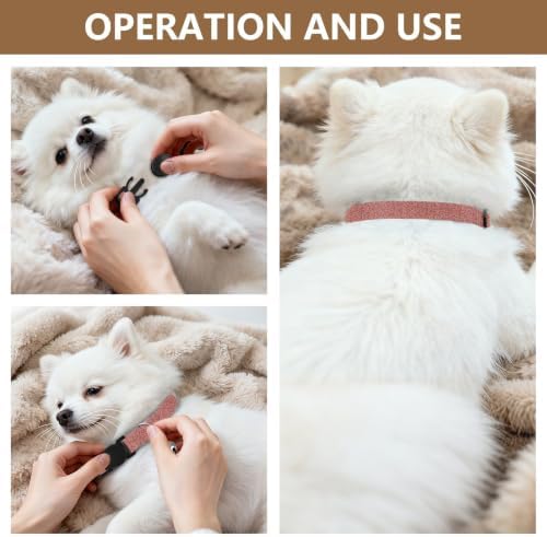 Rose Gold Kitten Collar 2 Pack Collars for Puppies Adjustable 10.6 to 17.1 Inches