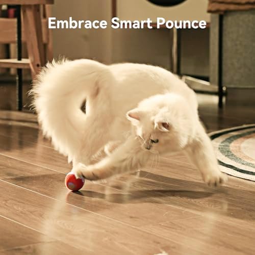 Cheerble Interactive Cat Ball Toy, Wicked Ball M3, Automatic Interactive Cat Toys for Indoor Cats with 3 Modes, Rechargeable Cat Enrichment Toys for Small/Medium/Large Cats to Keep Them Busy