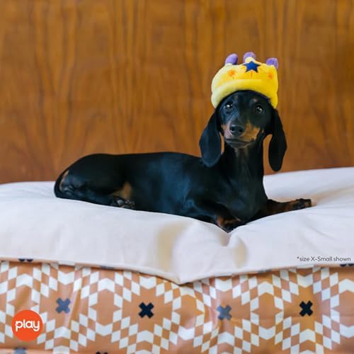 P.L.A.Y. Cute Plush Dog Toys - Birthday Party Celebration Themed Durable Squeaker Toy, Great for Puppies & Small, Medium, Large Dogs - Machine Washable, Recycled Materials (Canine Crown, X-Small)