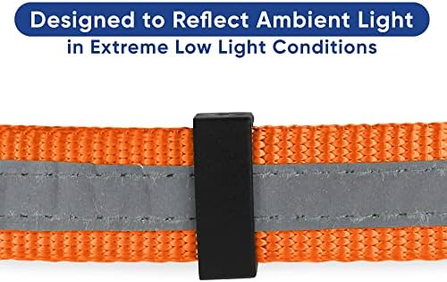 Pawtitas Martingale Dog Collar with Chain a Reflective Dog Training Collar for Large Dogs | Nylon No Pull Dog Collar for Large Dog - Orange