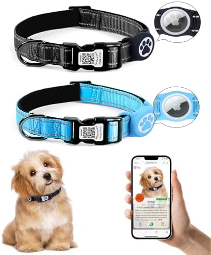 Apple Air Tag Compatible Anti-Lost Dog Collar with Scannable QR Code ID Tag | Reflective Safety | Comfort Fit & Adjustable | Durable Nylon for XXS to XL Dogs (Black, L)