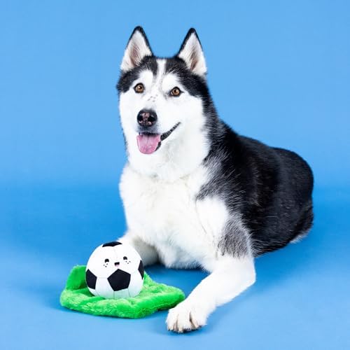 Fringe Studio Plush Dog Toy, JUST Kick IT, Pet Shop Collection (314232) (Pack of 2)