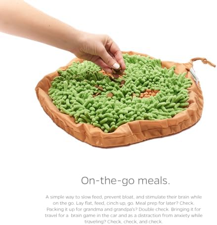 PET Parents Forager Snuffle MAT and Slow Feeder Dog Bowl, Meadow Natural