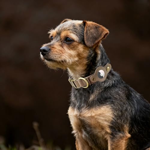 Airtag Dog Collar, PU Leather Brown Collar w Airtag Holder for Medium Dogs