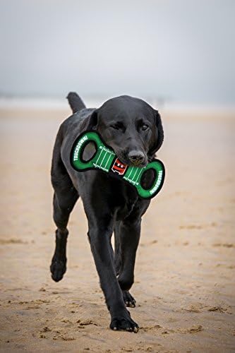 Pets First NFL Football Field Dog Toy with Squeaker. - Cincinnati Bengals - for Tug, Toss, and Fetch. - Tough & Durable PET Toy