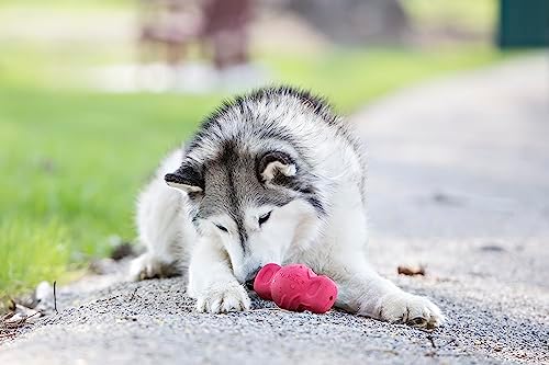 Jolly Pets Tuff Teeter Treat-Dispensing Bouncing Dog Toy, 5 in, Red