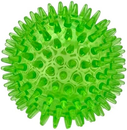 Cutie's PetBox Squeaky Rubber Spike Toy Ball for Small Dogs (2.5 Inch, Green)