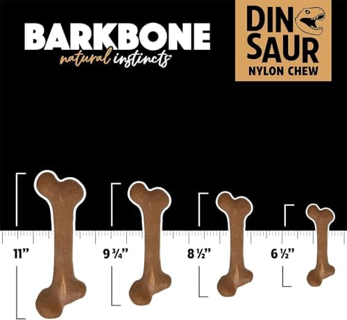 Pet Qwerks Dinosaur BarkBone Nylon Dog Chew, Bacon Flavor, Medium 8.5in