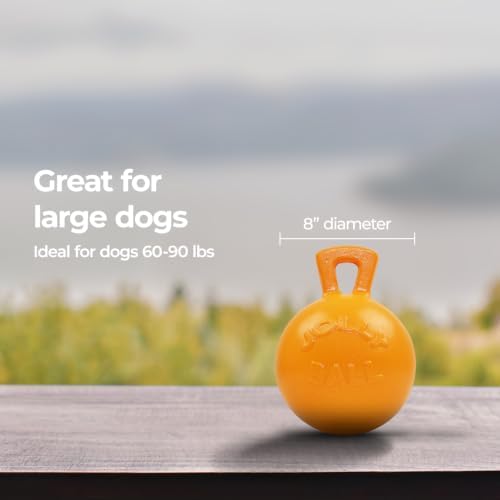 Jolly Pets Tug-n-Toss - Heavy Duty Chew Ball w/ Handle (Orange, 8")