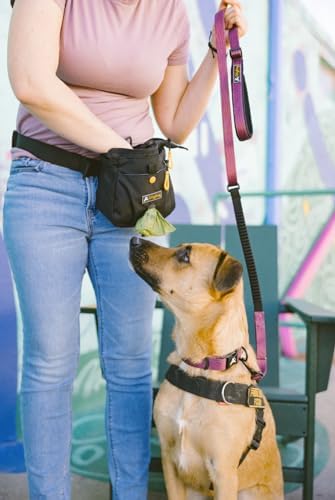 OllyDog Flagstaff Collar, Adjustable Soft Puppy Collars with Quick Release Buckle, Ideal Dog Collar for Everyday Use and Adventures (Small, Rosewood Woodgrain)