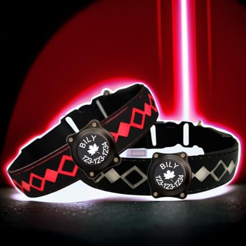 Personalized Flashing Night Dog Collar with Waterproof airtag Holder for Black Dog Night Walking (Black, M(11.8-15.7"))