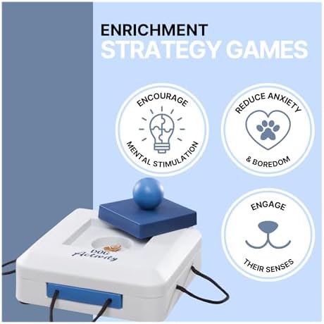 TRIXIE Gamble Box Dog Enrichment Toy, Level 1 Food Puzzle & Treat Game