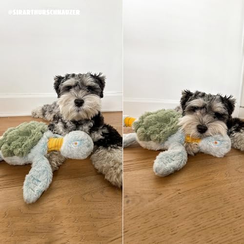 Fuzzwoof Turtle Squeaky Dog Toy - New 2025 Indestructible Tug of War Crinkle Dog Toy for Aggressive Chewers, Tough Large Breed Interactive Trianing Fun to Keep Them Busy