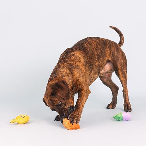 Fringe Studio Plush Dog Toy Set, Just Add Water, Small 3 Piece Set, Pet Shop Collection (662057)