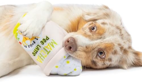 Huxley & Kent Power Plush Squeaky Dog Toy, Matcha Pee Latte, Large