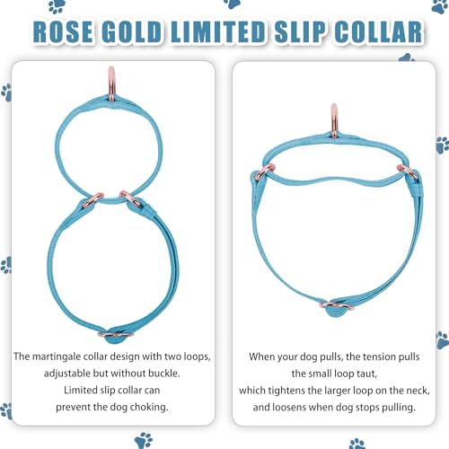 Soft Leather Martingale Dog Collar - Adjustable Rose Gold Limited Slip Collars [Easy to Clean], Stylish Durable Heavy Duty Nylon No Pull Training Collar for Small Medium Large Dogs XS Light Blue