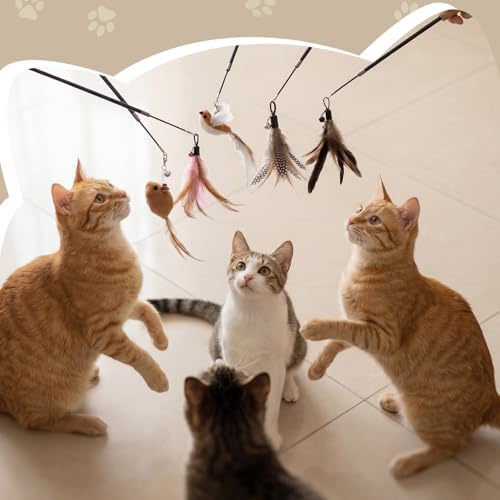 Leitee 18 Pcs Cat Wand Toy Interactive Feather, Bird Mouse Refills Wires