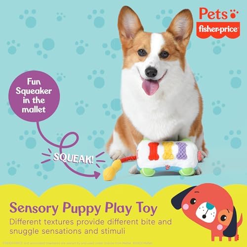 Fisher Price Sound-Bites Plush Dog Toy