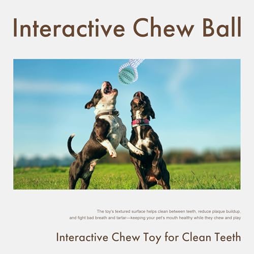 Mira's Pocket Indestructible Chew Toy for Aggressive Chewers - Durable Rubber Dog Teething Ball with Rope, Boredom Relief Puppy Toys (Blue, Small) (Green, Large)