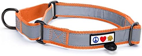 Pawtitas Personalized Dog Collar Martingale Dog Collar with Name Phone Number Reflective Martingale Dog Collar Customized Collar for Large Dogs | Orange Custom Dog Collars for Large Dogs