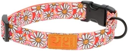 RC Pets Eco Clip Collar | Adjustable, Durable, Earth-Friendly (Medium, Daisy Joy)