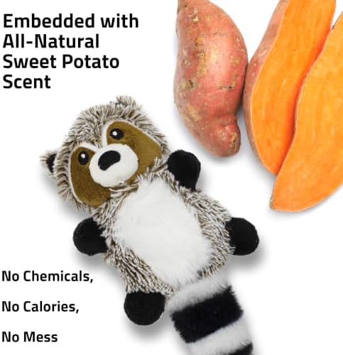 Playology Plush Raccoon Chew Toy for Small Dogs - Small, Sweet Potato Scent
