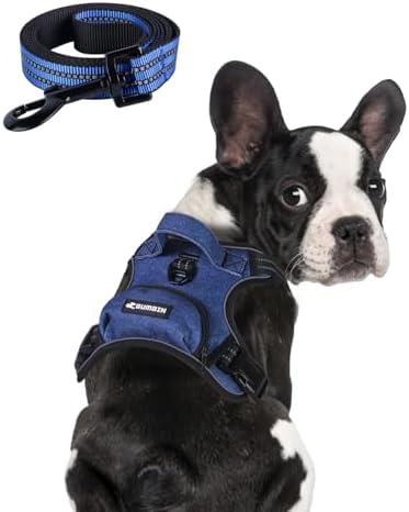 BUMBIN Dog Harness for Large Dogs, No Pull Adjustable No Choke Pet Vest with Dog Leash Fit Smart Reflective Pet Walking Harness for Training Easy Control Soft Handle Denim Blue XL