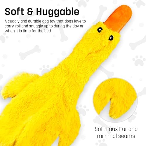 FGA MARKETPLACE Racoon-Duck Flat NO Stuffing NO Squeak Plush Dog Toy, Funny Style Will Entertain Your Pet for Hours, Recommended for Small and Medium Dog 21 INCH Long