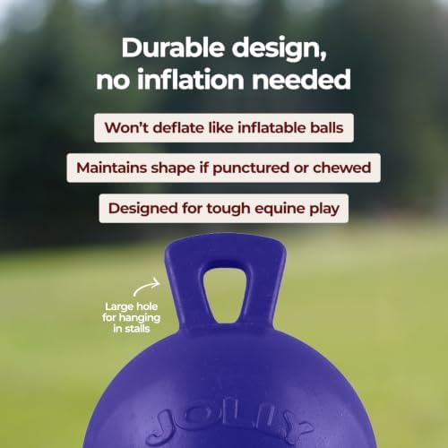 Jolly Pets Dog 10-Inch Tug-n-Toss, Blue