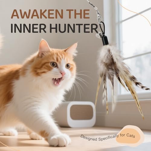 SONGWAY Interactive Cat Feather Toys - Cat Wand Toy Set with Retractable Teaser Wand and 6 PCS Natural Feather Refills, Da Bird Cat Toys for Indoor Cats Kittens