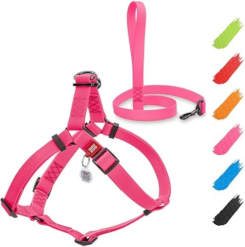 WAUDOG Waterproof Dog Harness with QR Code Tag & Metal Clasp