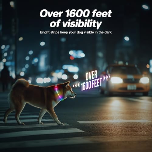 RUXAN Light Up Dog Collar,Dog Lights for Night Walking,LED Collars Waterproof,Glow Dog Collars Rechargeable,Glow in The Dark Dog Collar,Dog Collars Light for Small,Medium,Large Dogs (Small,Purple)